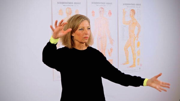 4 — CranioSacralQigong Daoist 5 (Seed + Whole)