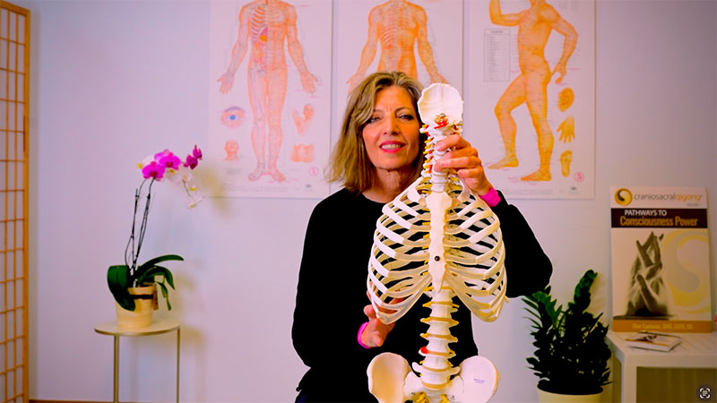 The Sead of Posture